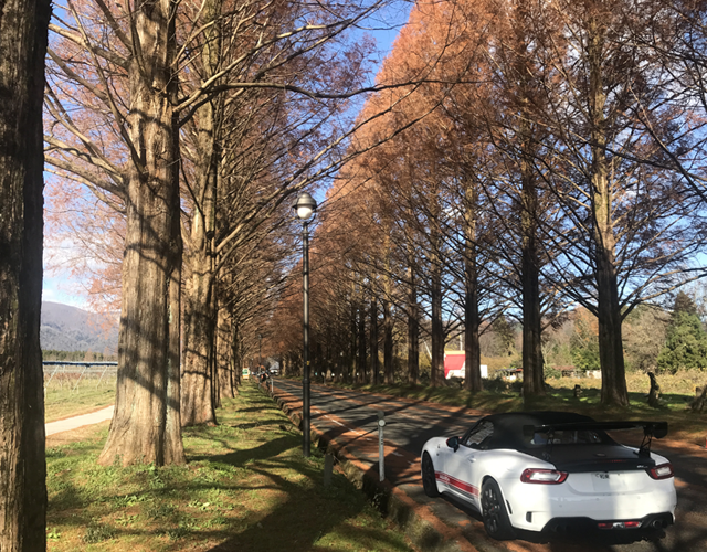 AABARTH 124スパイダー,メタセコイヤ並木