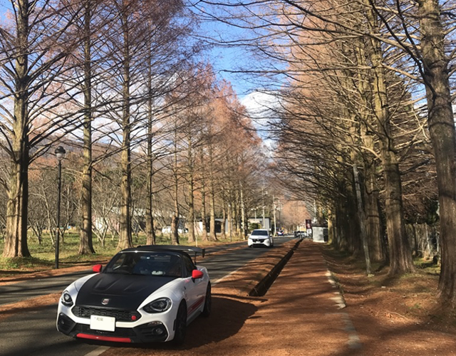 ABARTH 124スパイダー,メタセコイヤ並木